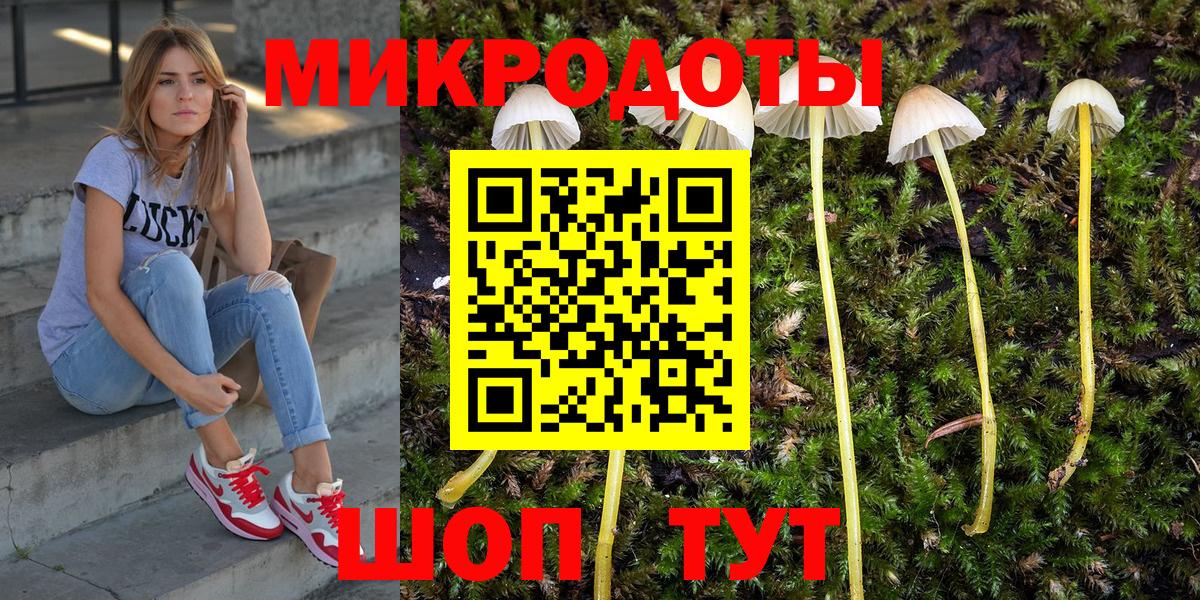 Псилоцибиновые грибы GOLDEN TEACHER Сухой Лог