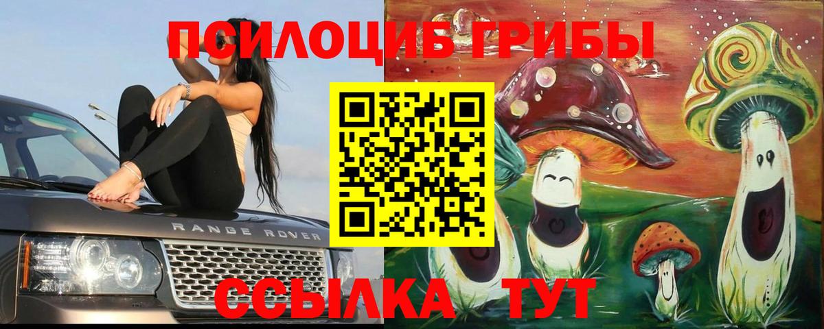 Галлюциногенные грибы Psilocybe  Галлюциногенные грибы Magic Shrooms  Сухой Лог  Вход с VPN 